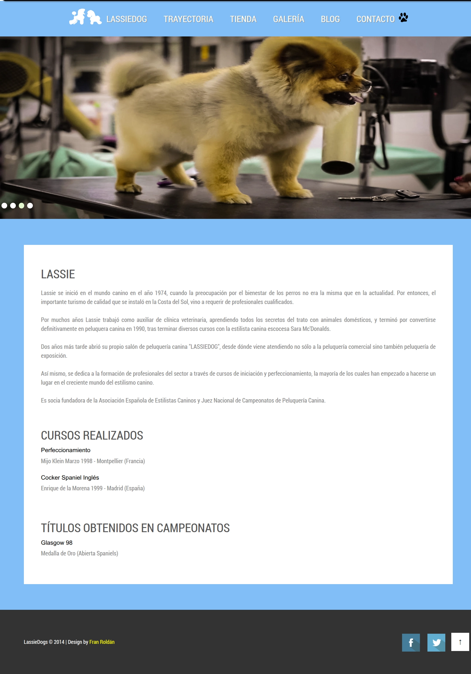Captura de Lassie Dog