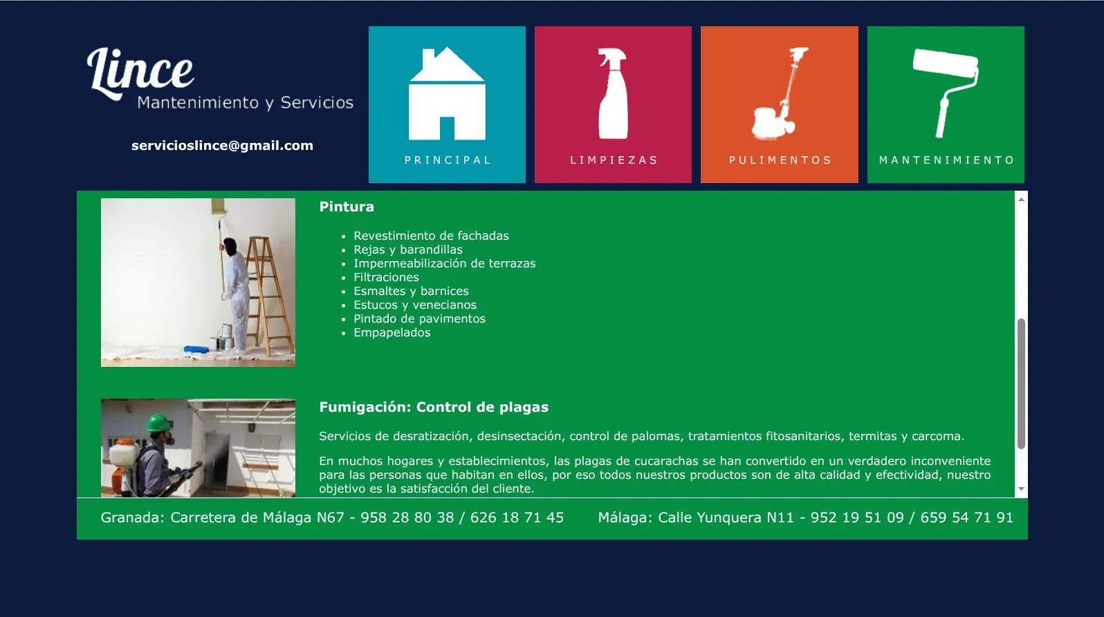 Captura de Servicios Lince